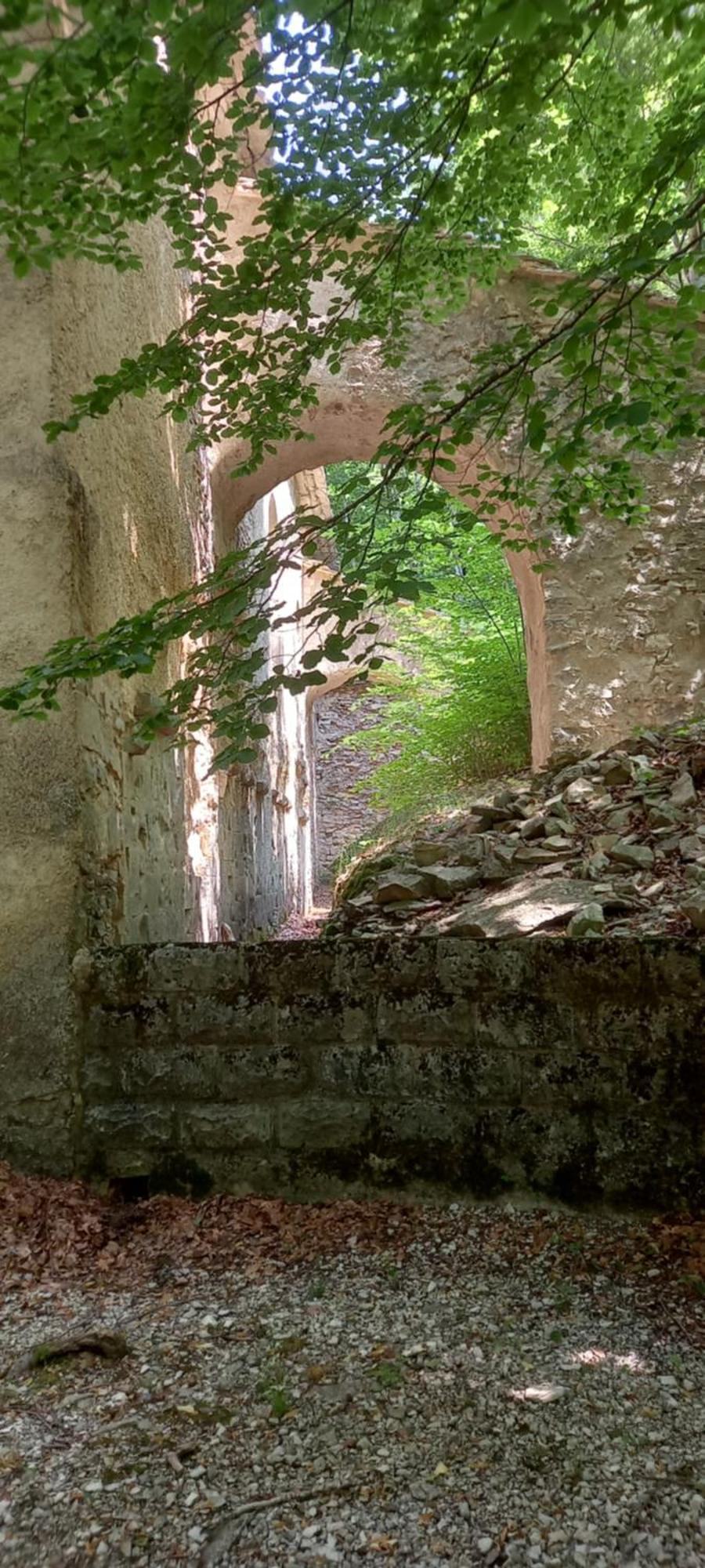 Gite La Mosaique Dauphin Exteriér fotografie